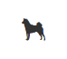 Brijendra looks after medium dogs (11-20kg) in Belmont, QLD