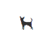 Brijendra looks after small dogs (0-10kg) in Belmont, QLD